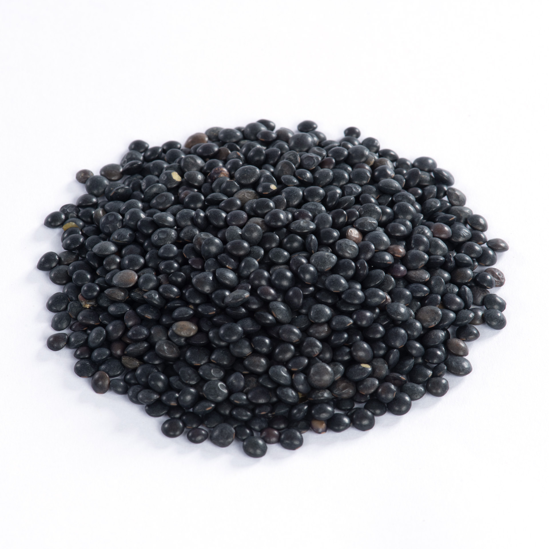 Bayerische Belugalinsen aus Demeteranbau 1kg* – Bild 2