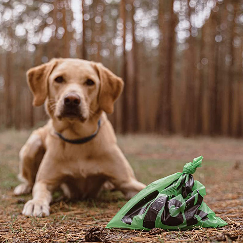 Hundekotbeutel – Bild 2
